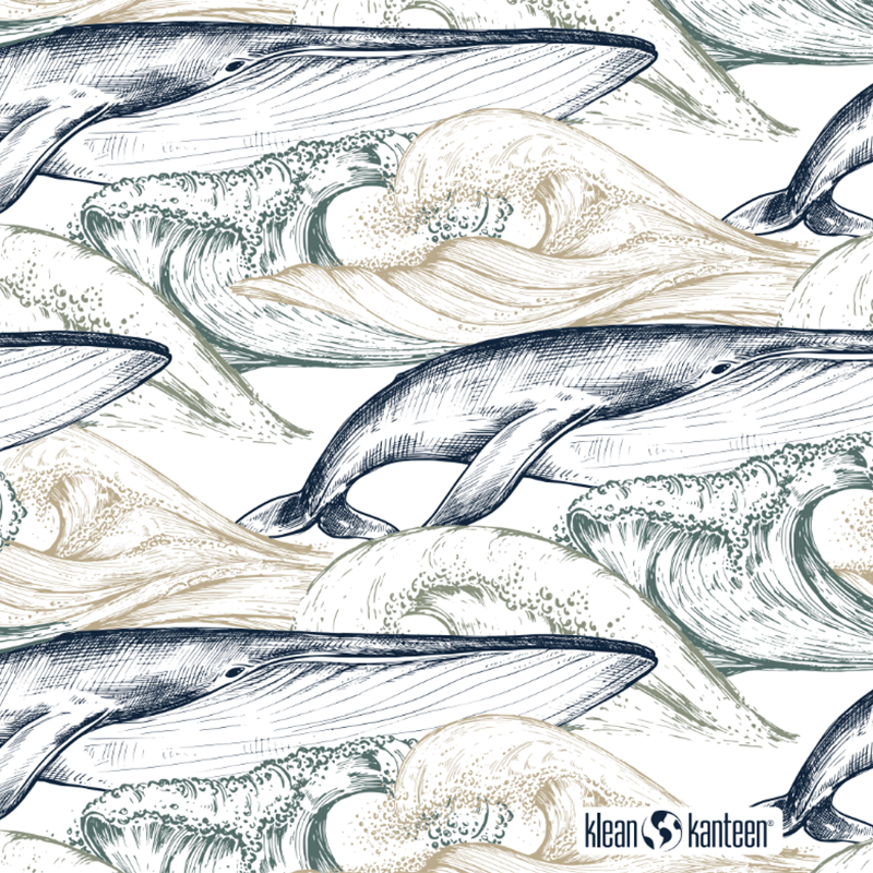 20oz-tkwide-with-twist-cap-ocean-day-w1 20oz_tkwide_bottle_seasonal_ocean_day_whale_artwork_square.png