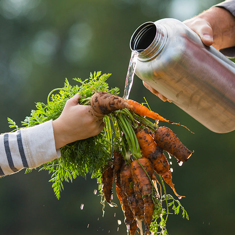 64oz-wide-with-loop-cap-t5 64oz_wide_mouth_bottle_carrots_rinse_square.jpg