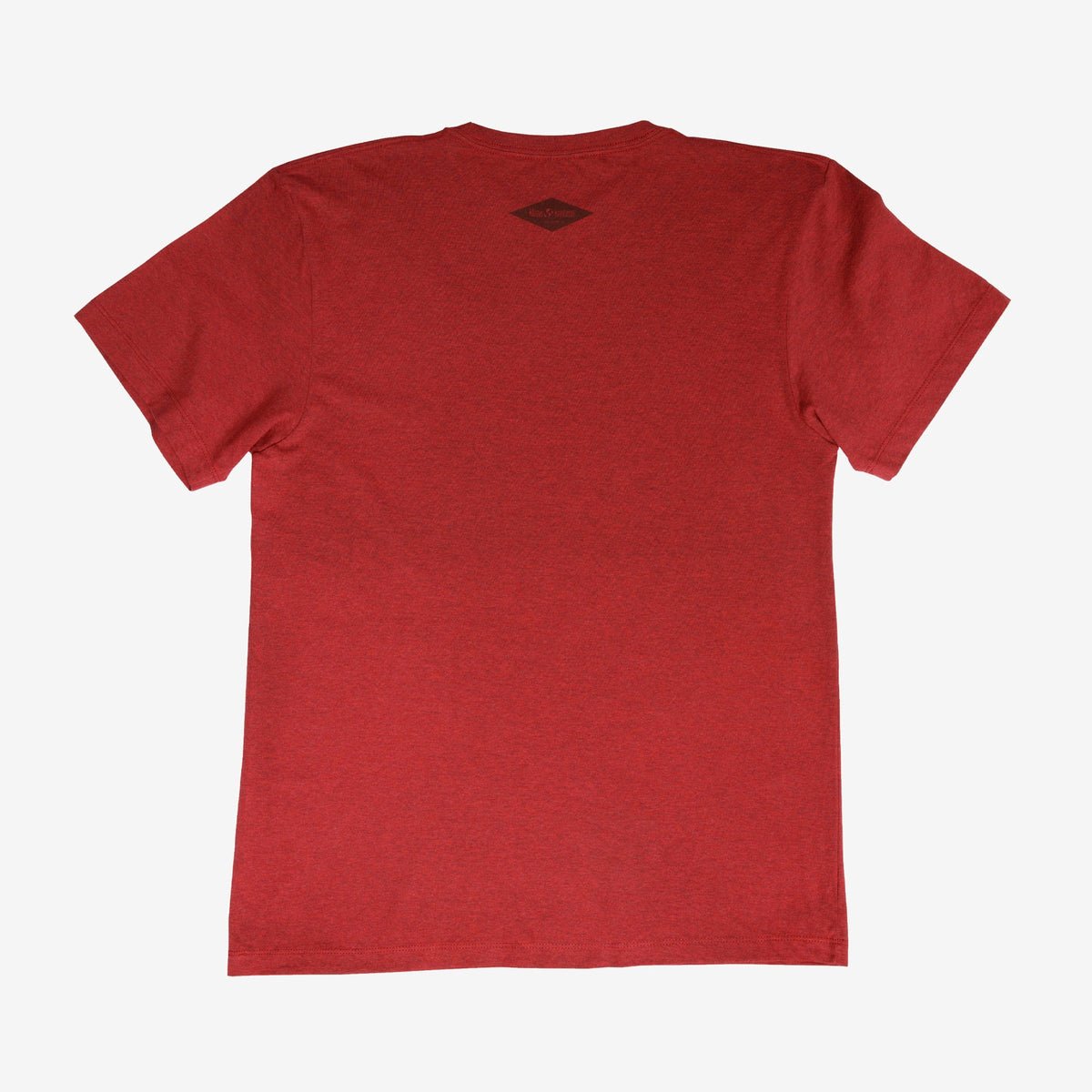 backyard-t-shirt-e6 Shirt_Mtn_Back.jpg